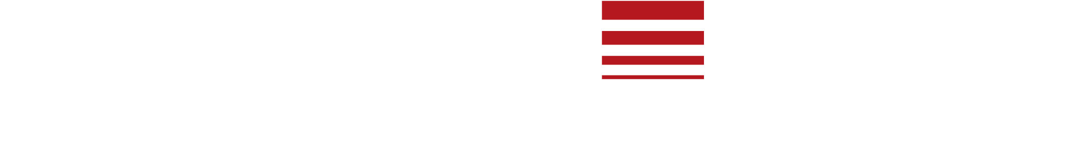 Simons Voss Logo